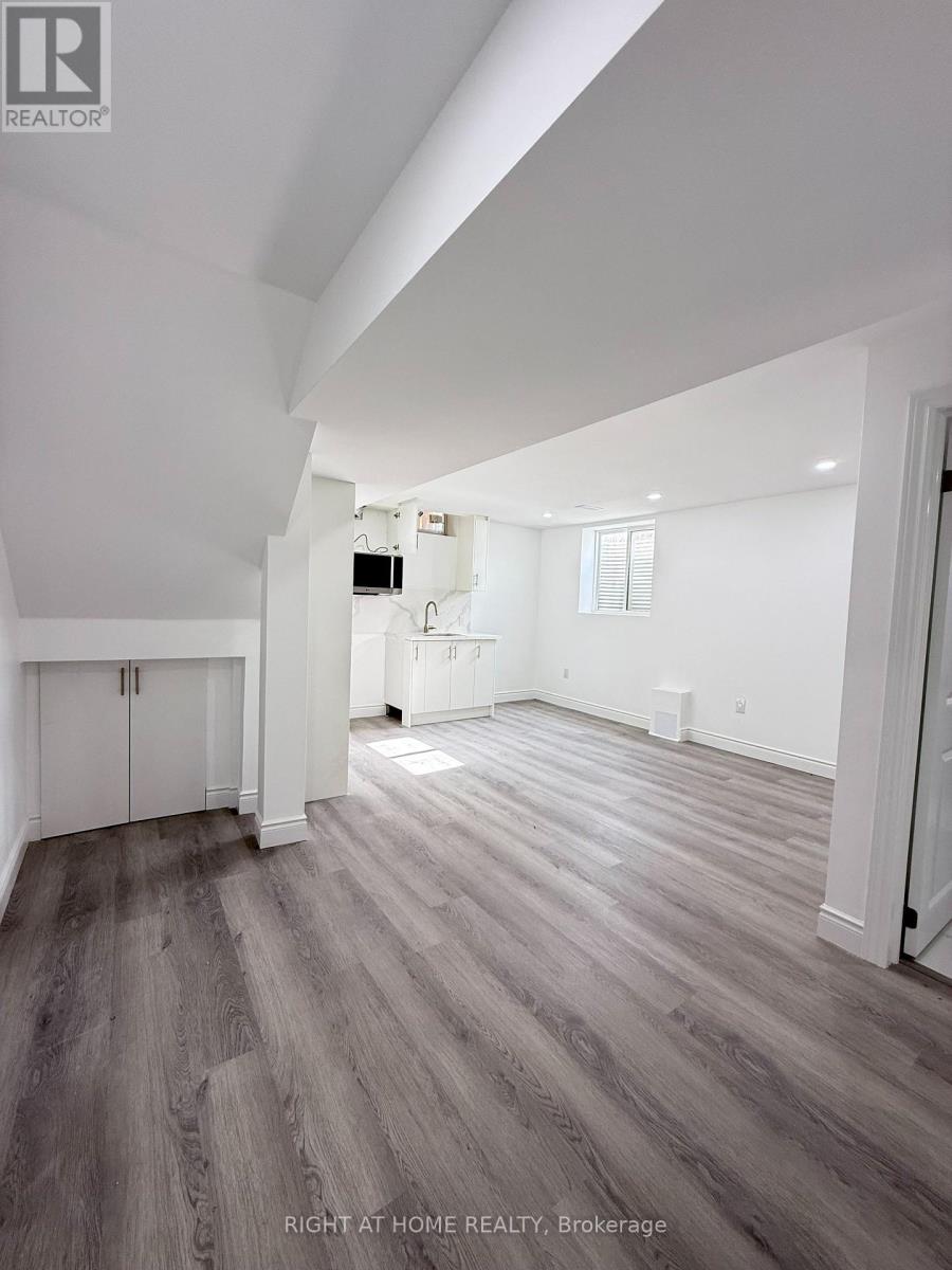 BASEMENT - 42 WHISTLER STREET, Hamilton (Stoney Creek Mountain)
