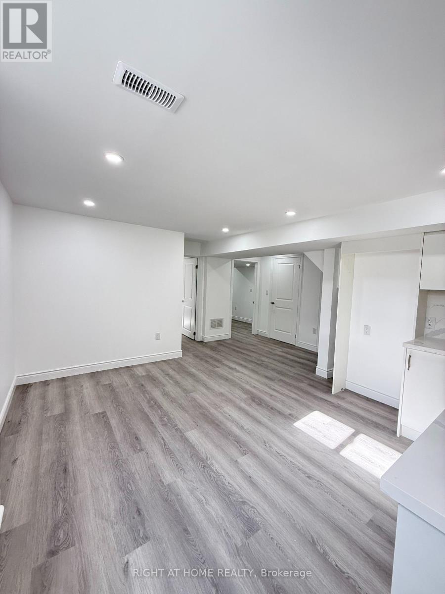 BASEMENT - 42 WHISTLER STREET, Hamilton (Stoney Creek Mountain) — photo 2