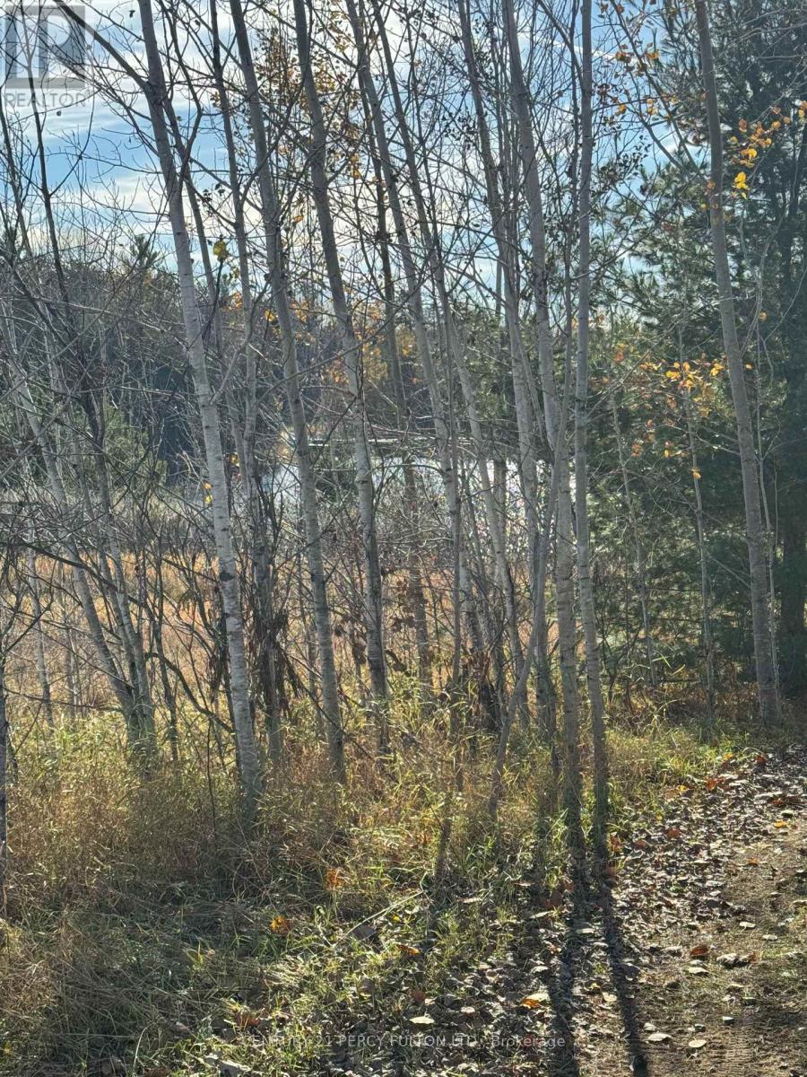 1343 B CHENAUX Road, Whitewater Region, ON photo 7