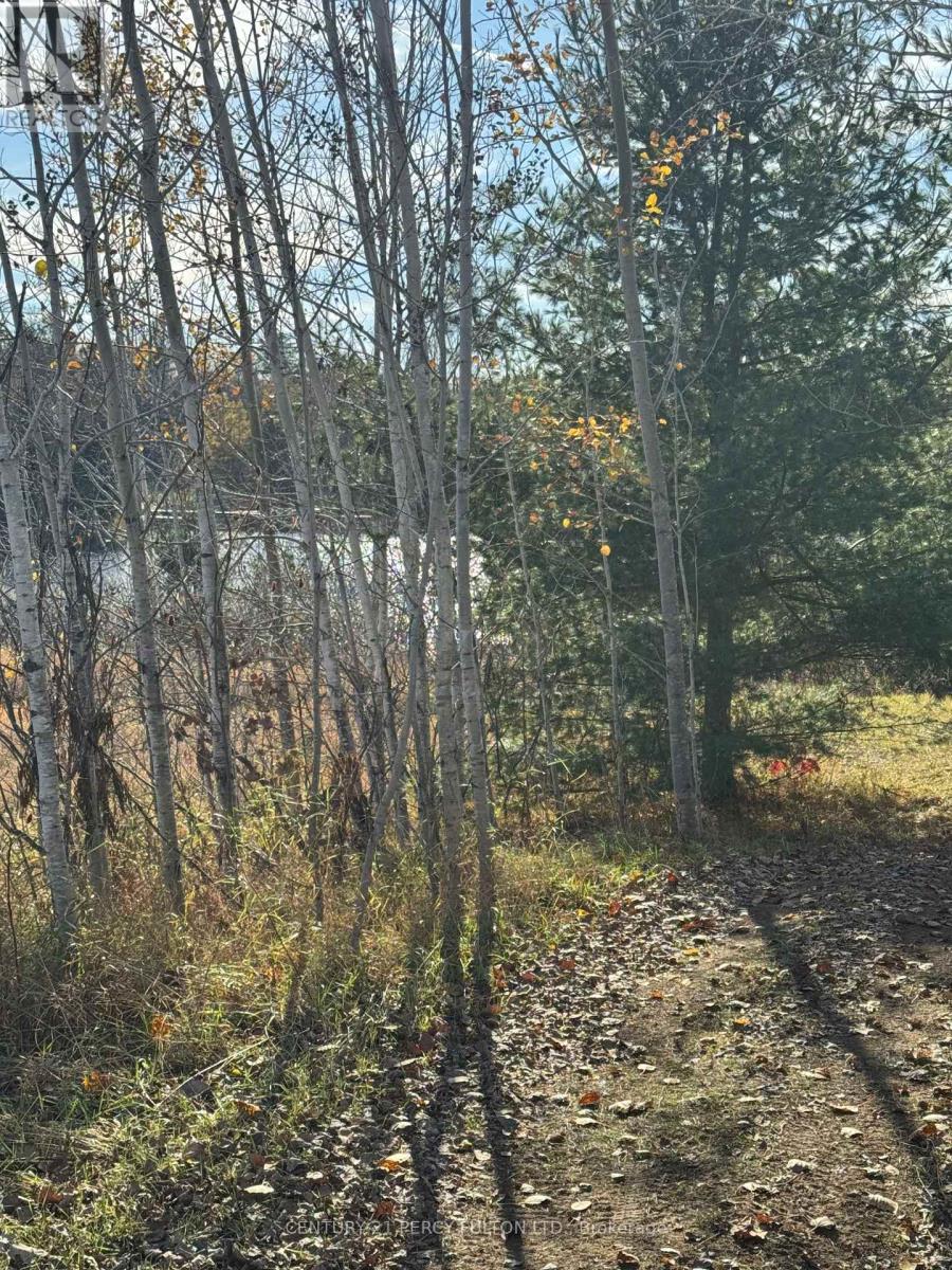 1343 B CHENAUX Road, Whitewater Region, ON photo 8