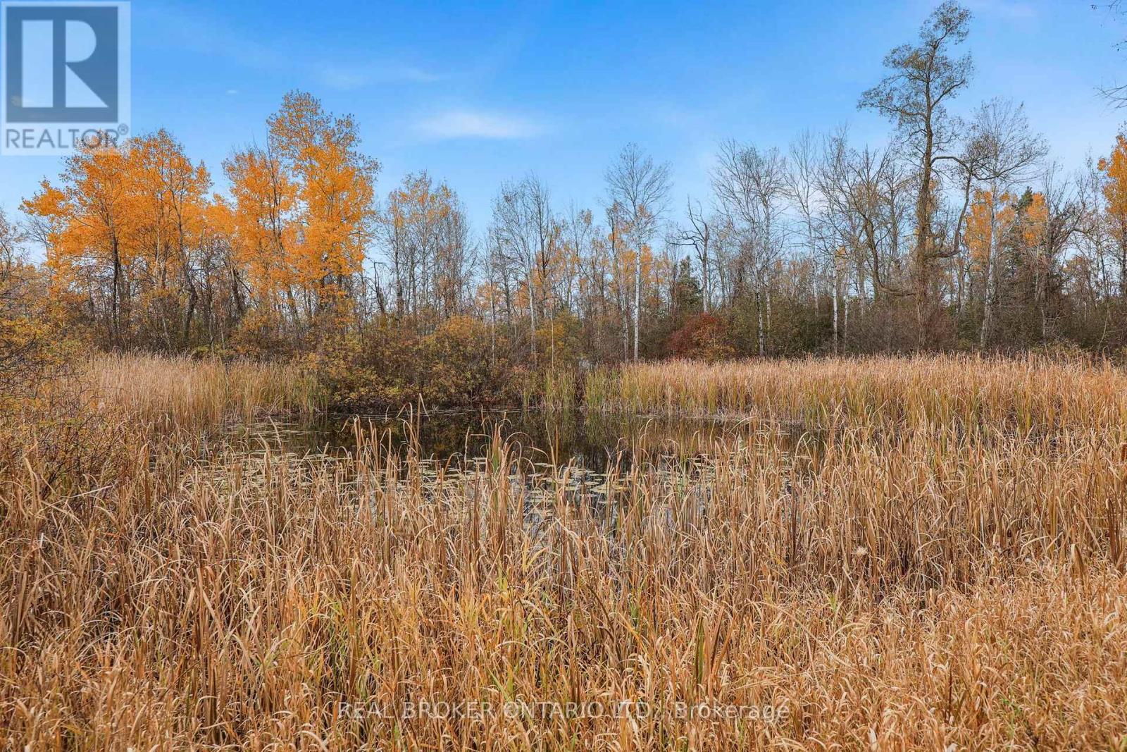 23276 Highway 48, Georgina, ON photo 40