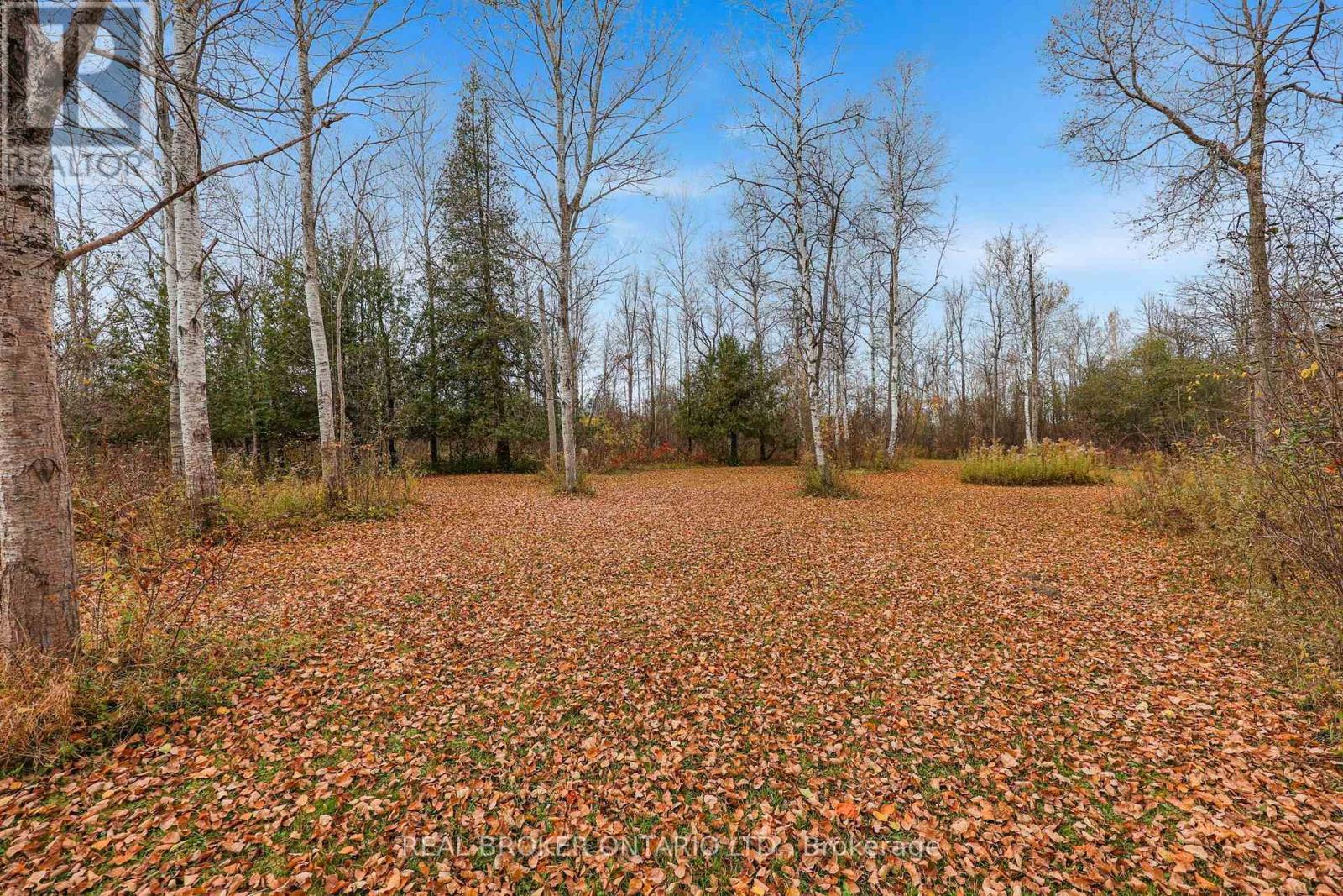 23276 Highway 48, Georgina, ON photo 41