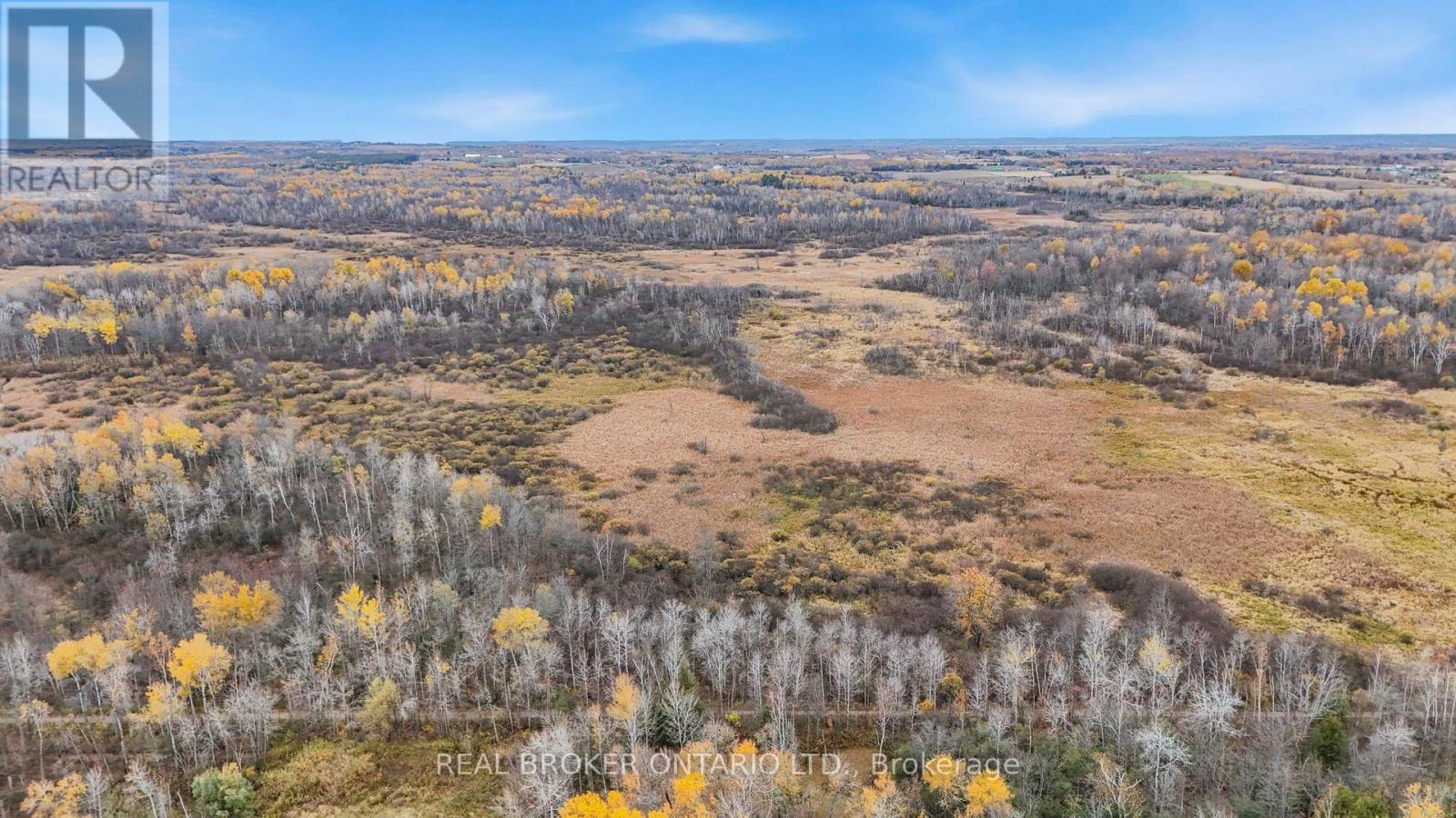 23276 Highway 48, Georgina, ON photo 47