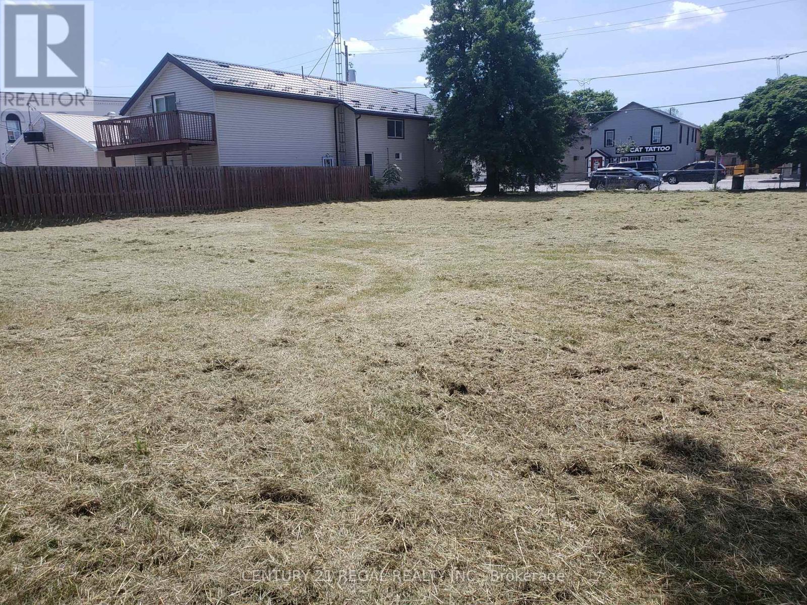 123 High Street, Georgina, ON photo 4