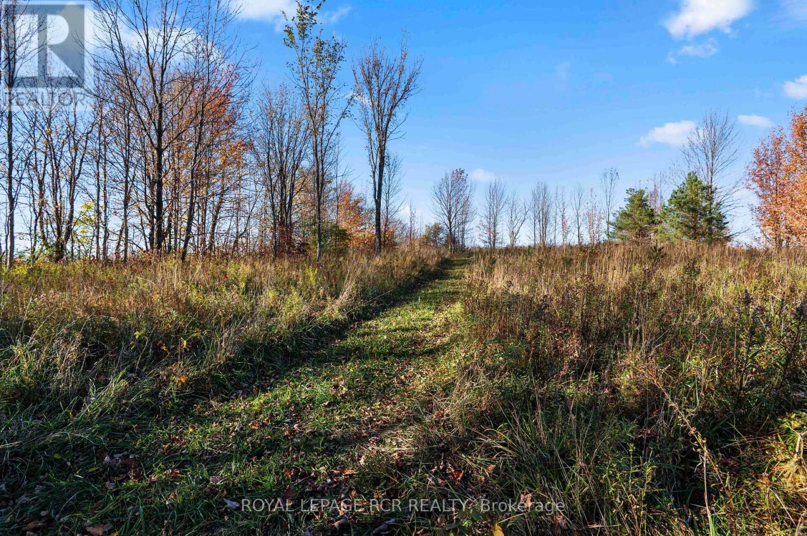 343577 North Line, West Grey, ON photo 13