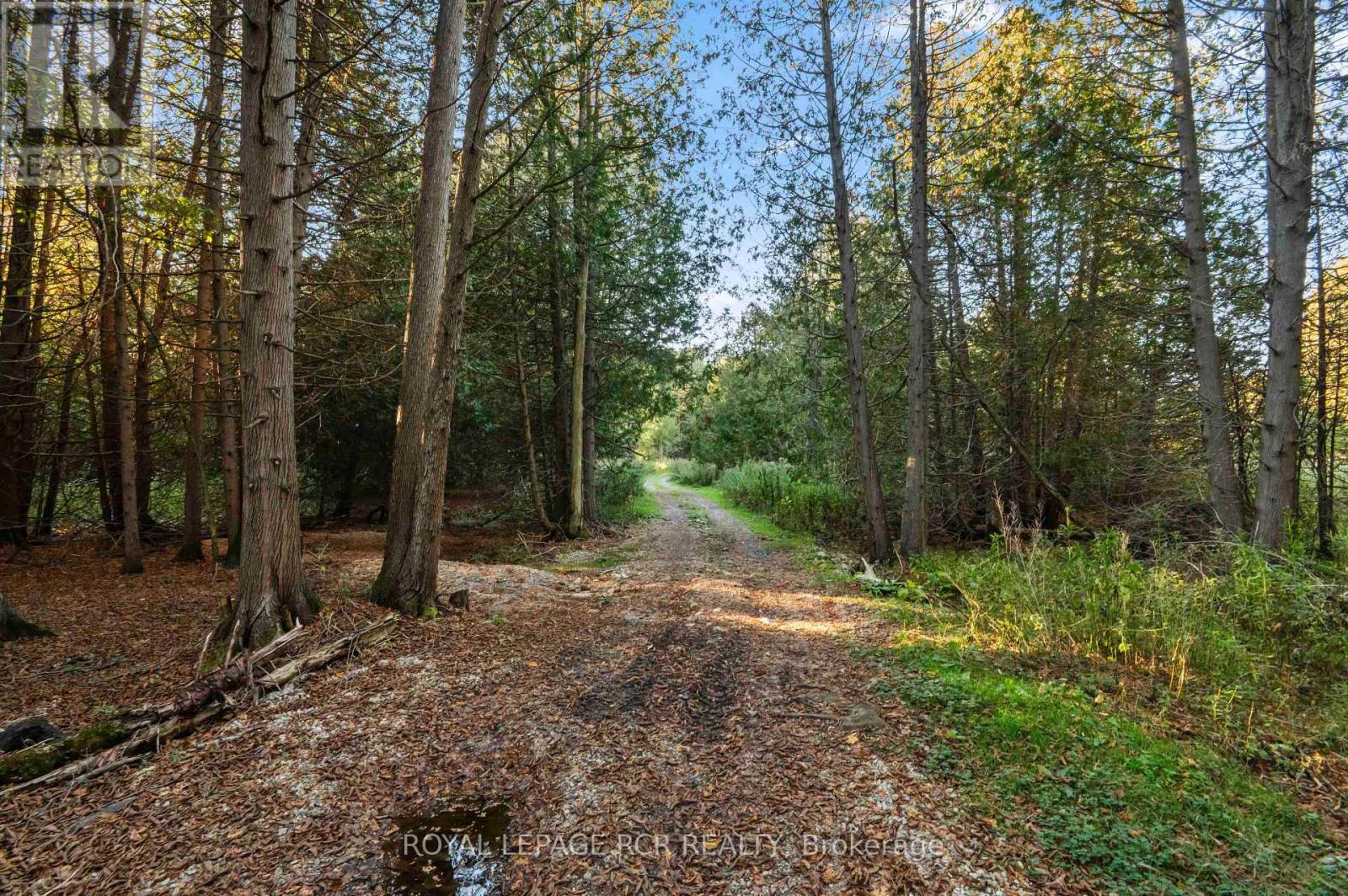 343577 North Line, West Grey, ON photo 30