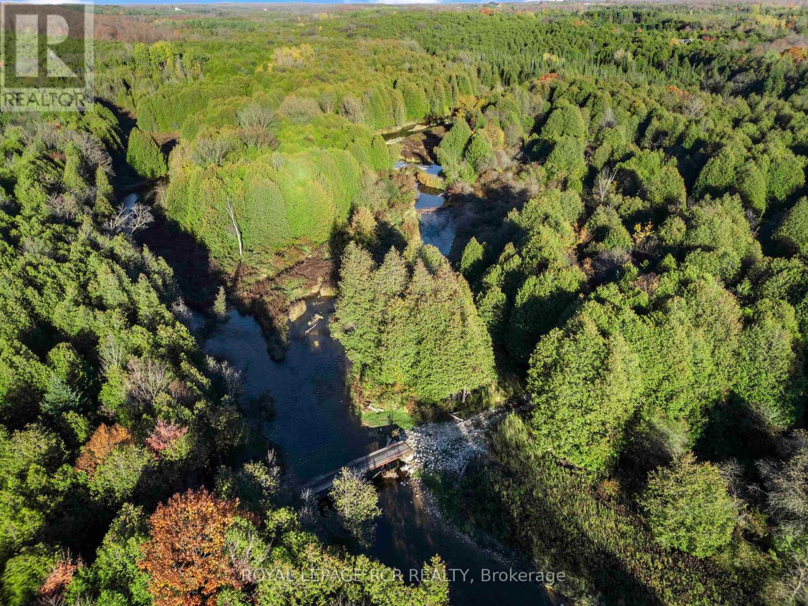 343577 North Line, West Grey, ON photo 34