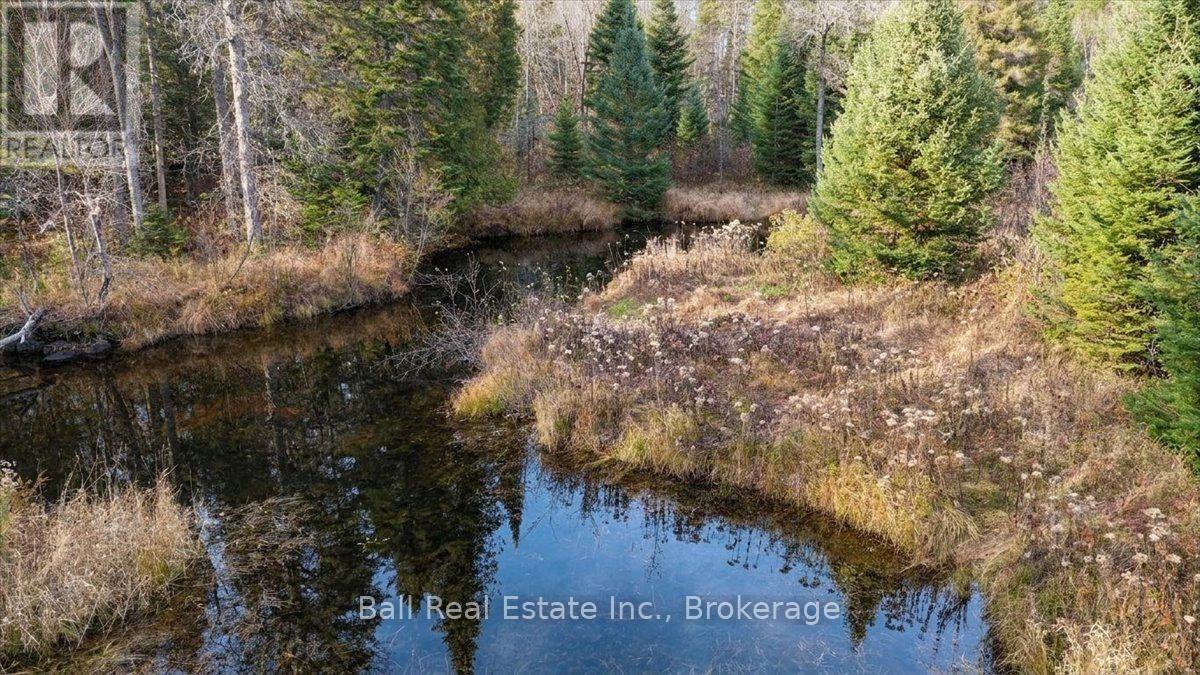 5794 Highway 620 Highway, Wollaston, ON photo 15