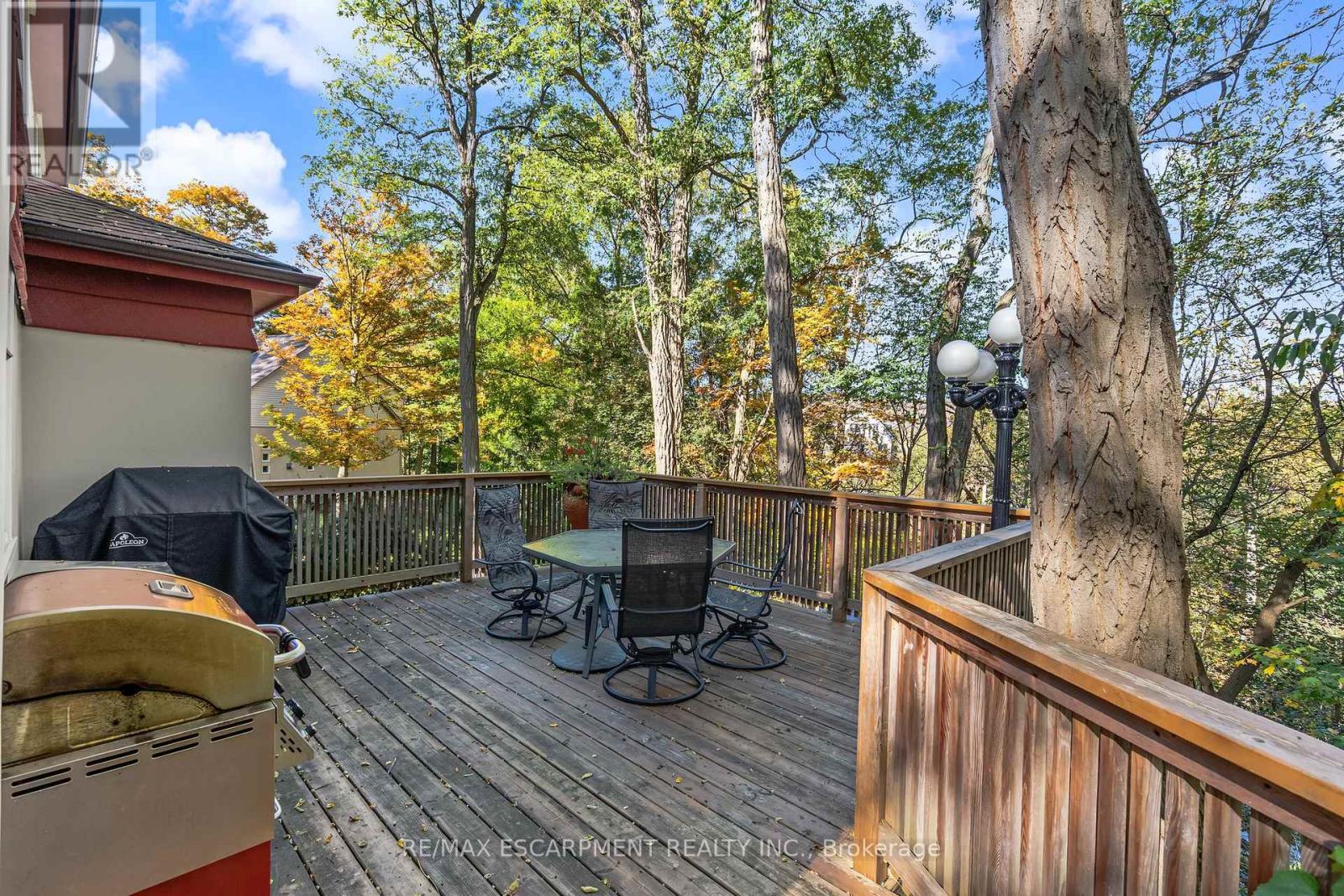 7 Hatfield Place, Hamilton, ON photo 46