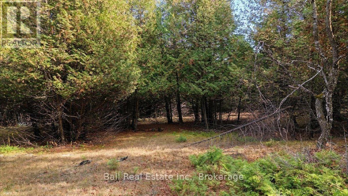 746 ST OLA ROAD, Limerick — photo 12