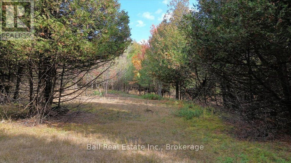 746 St Ola Road, Limerick, ON photo 14