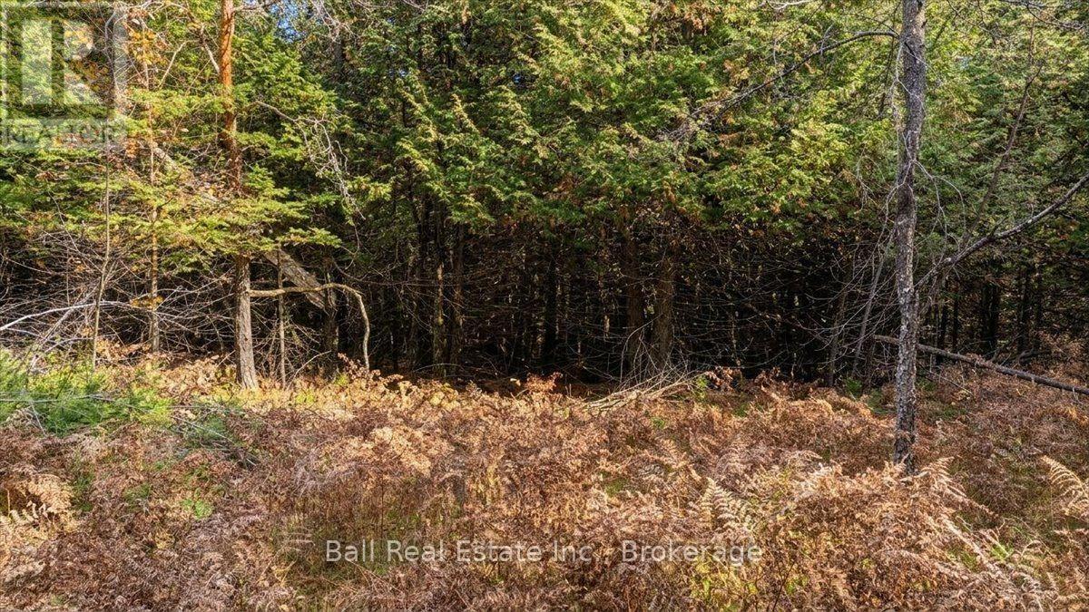 746 St Ola Road, Limerick, ON photo 15