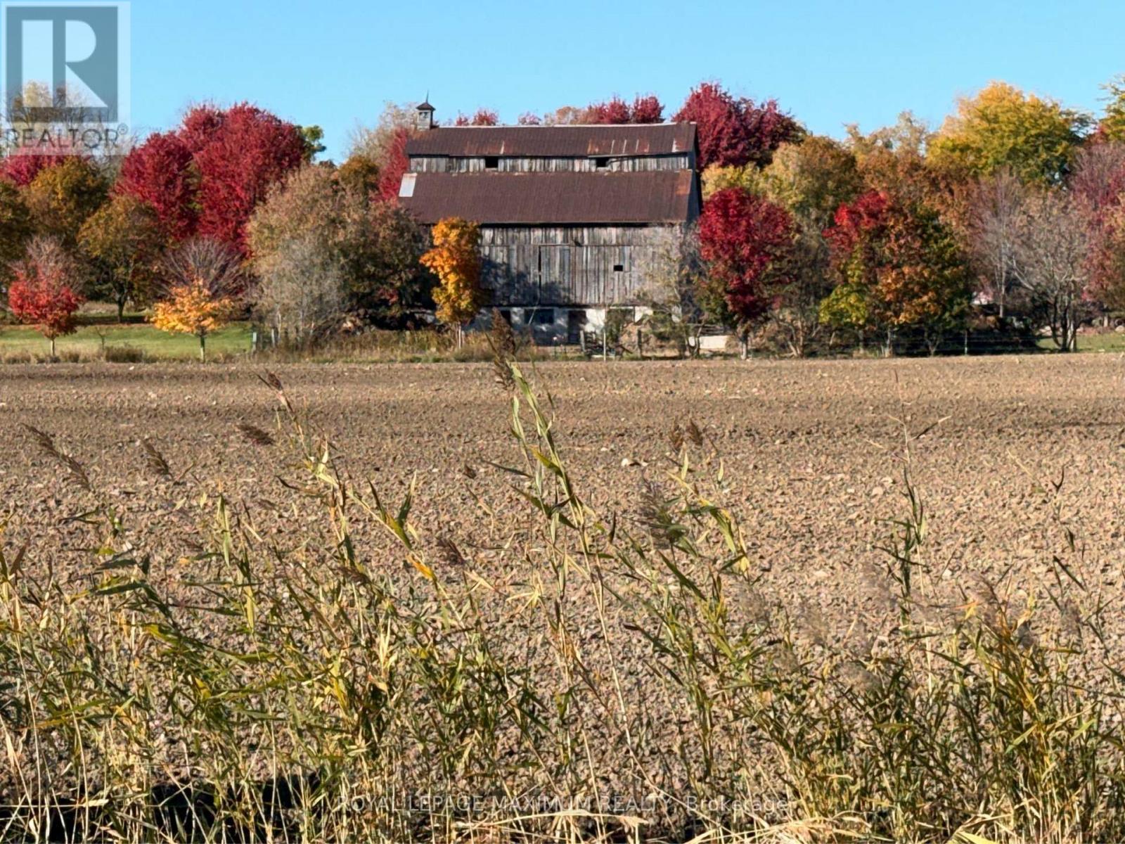 25139 WARDEN AVENUE, Georgina (Sutton & Jackson's Point) — photo 4