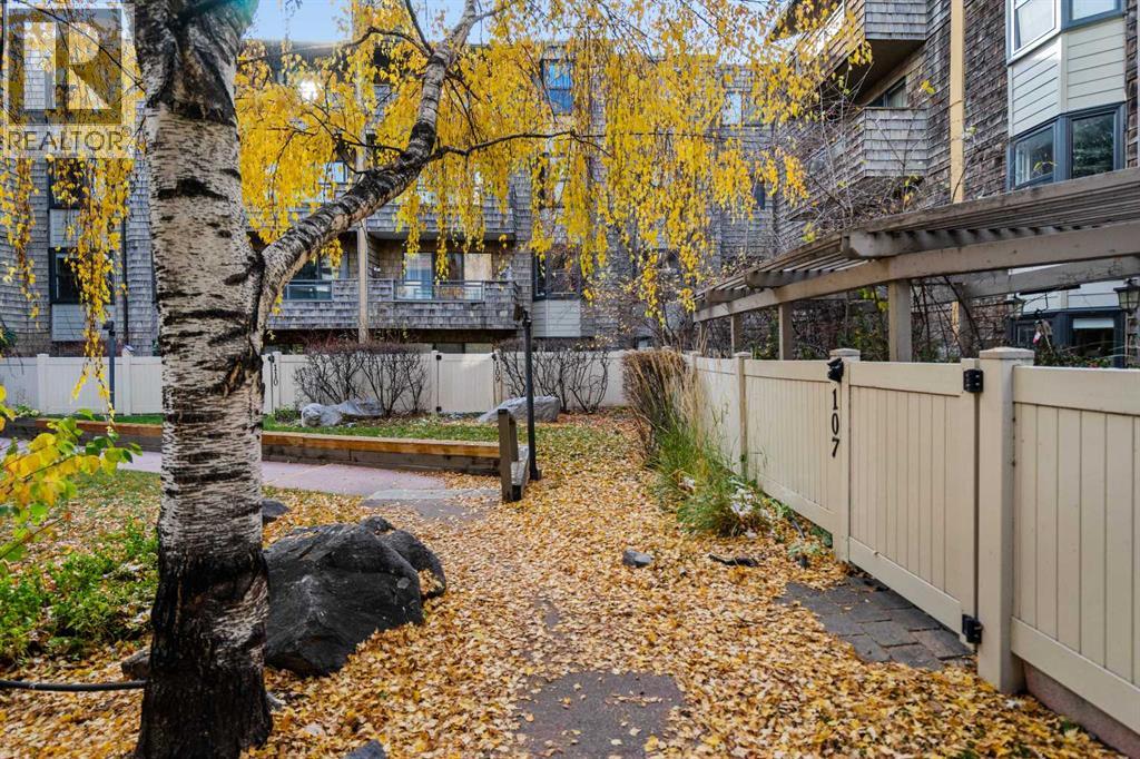 Grounds out the Back Exit of the Condominium
