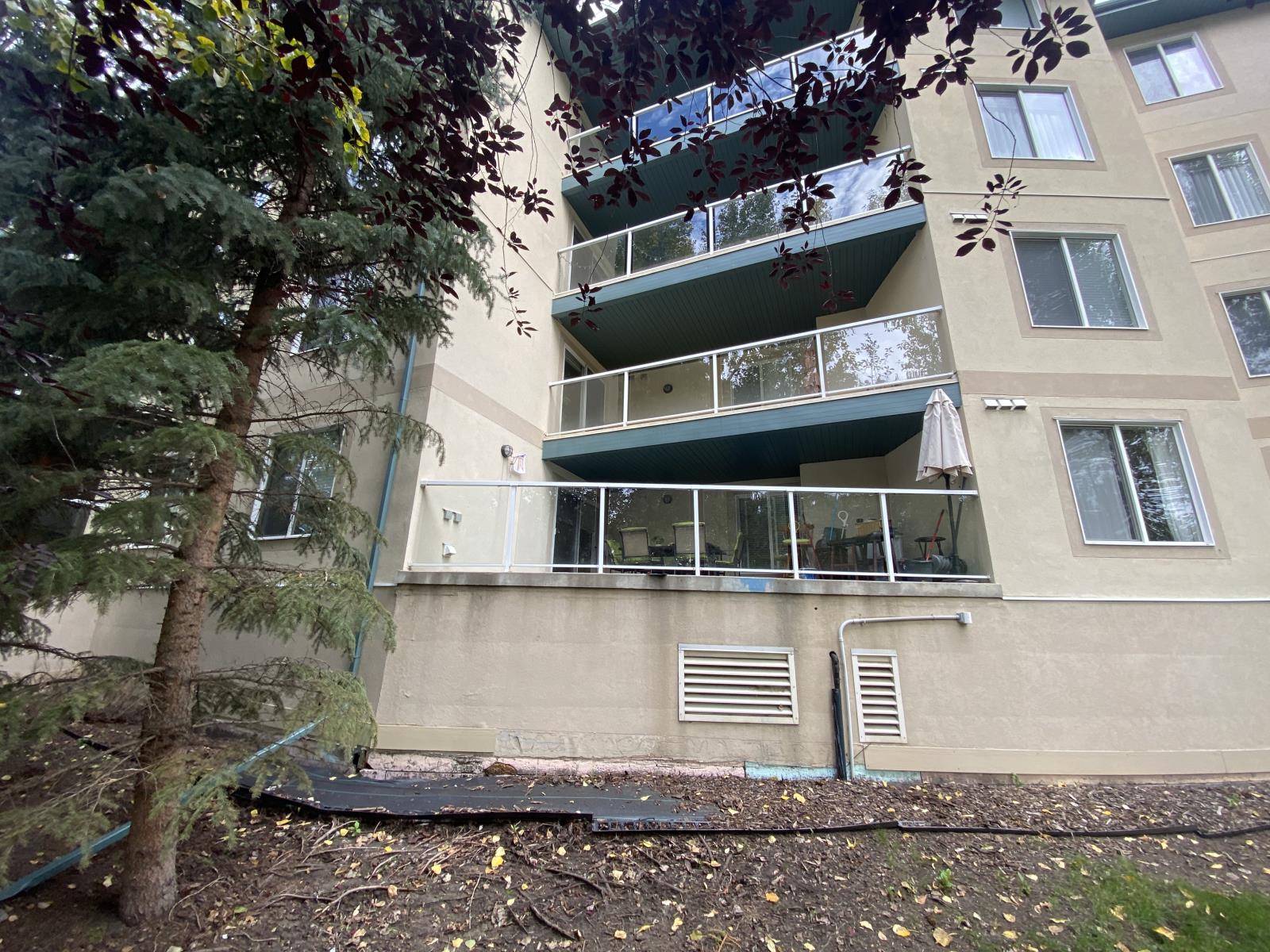 260 lewis estates Boulevard, photo 11 of 58
