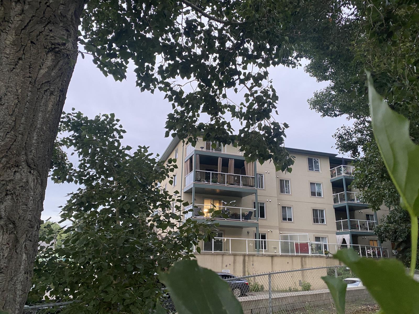 260 lewis estates Boulevard, photo 15 of 58