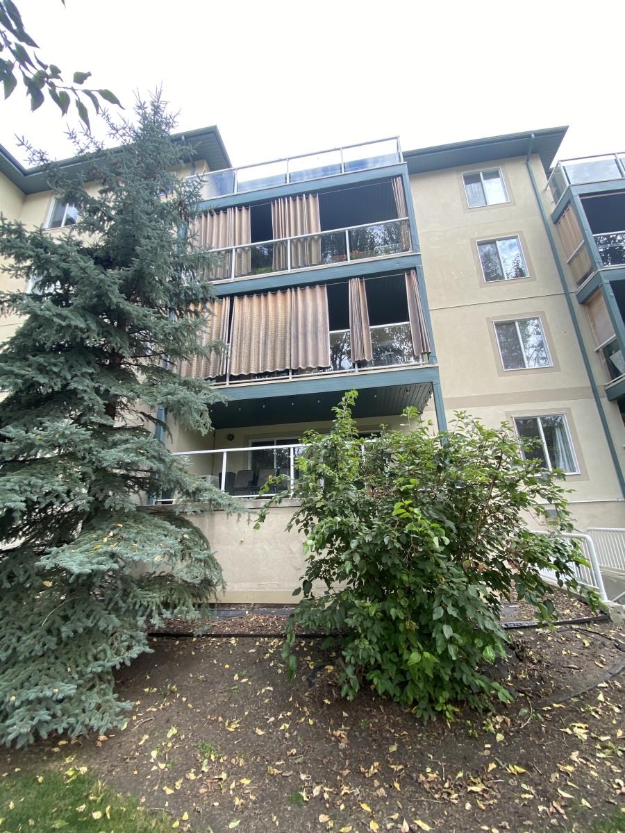 260 lewis estates Boulevard, photo 10 of 58
