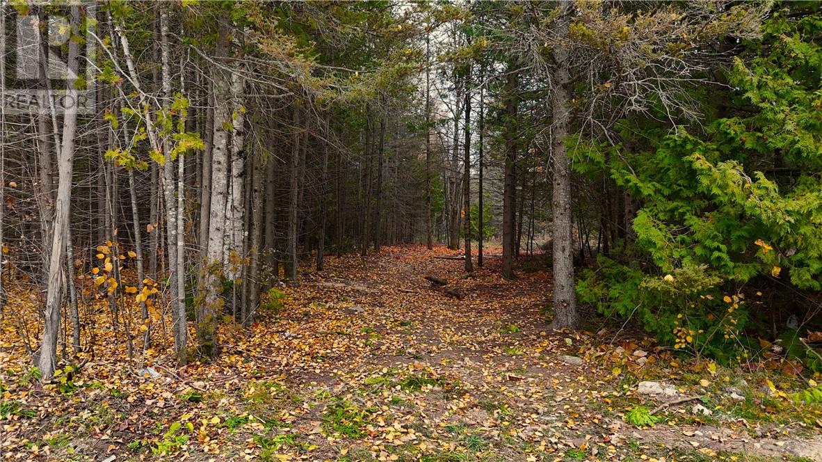 20322 540 Highway, Silver Water, Manitoulin Island — photo 5
