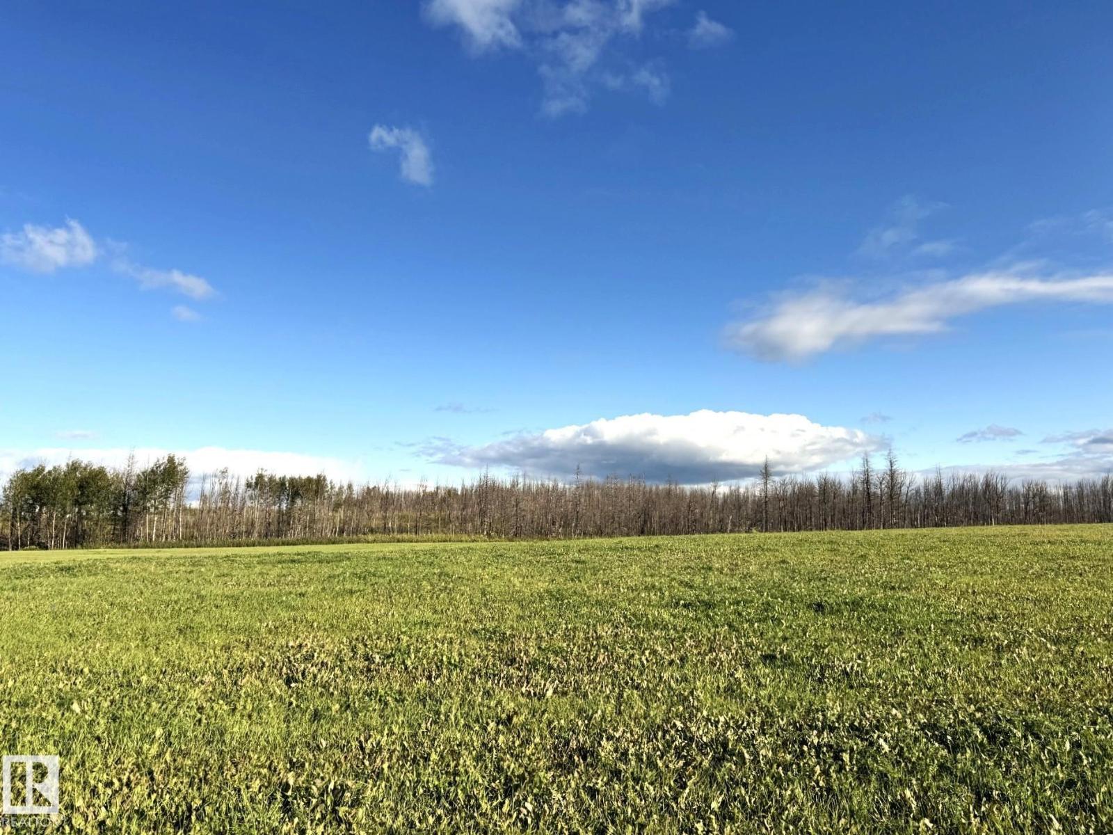 RRD 80 TWP 533, Rural Yellowhead