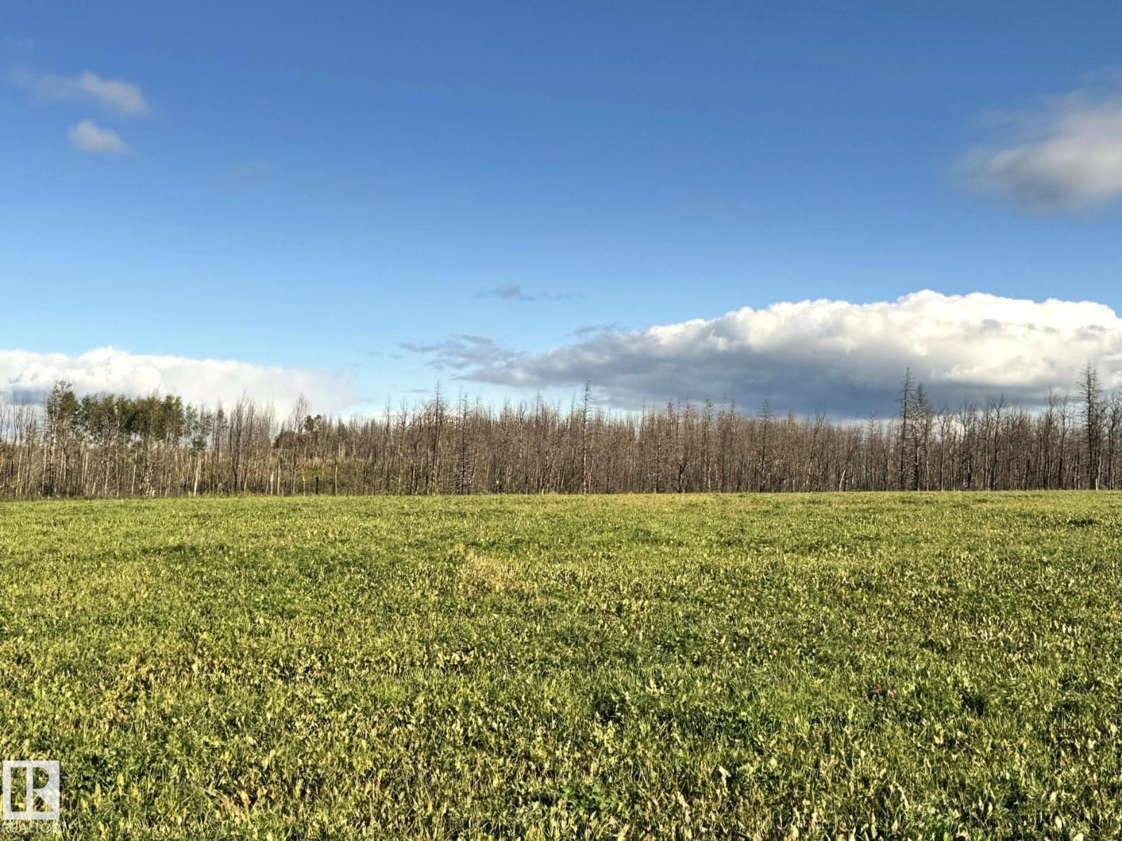 RRD 80 TWP 533, Rural Yellowhead — photo 3