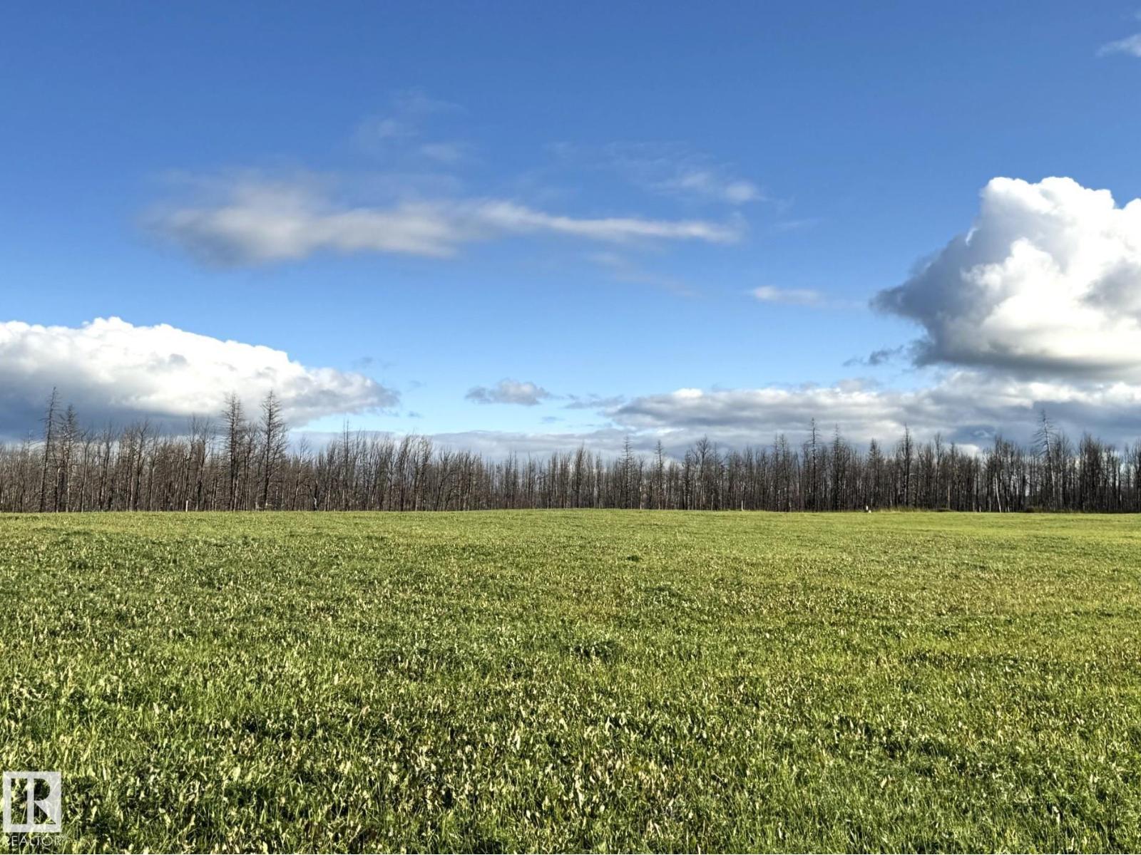 RRD 80 TWP 533, Rural Yellowhead — photo 2