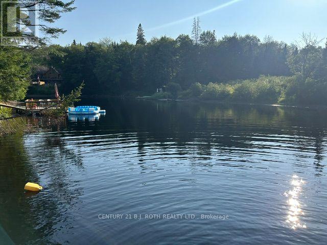 188 BALSAM CHUTES ROAD - 21