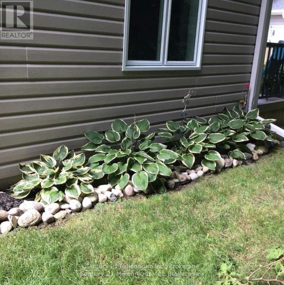 13 Virginia Avenue, Wasaga Beach photo 21