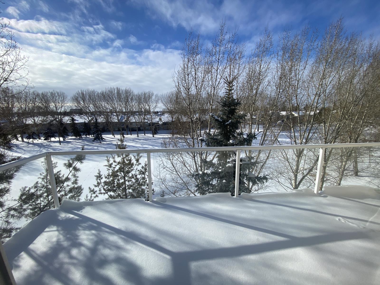 260 lewis estates Boulevard, Edmonton — photo 18