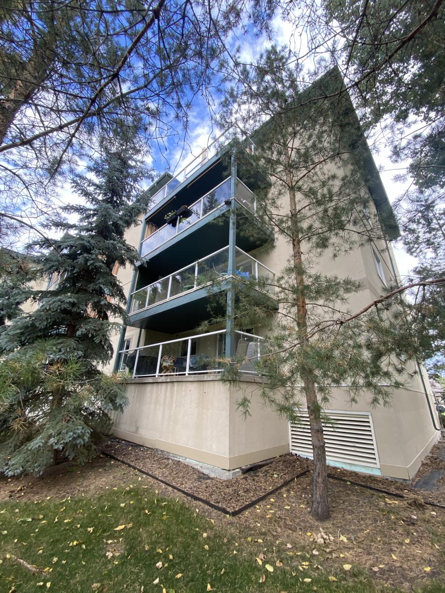 260 lewis estates Boulevard, Edmonton — photo 14