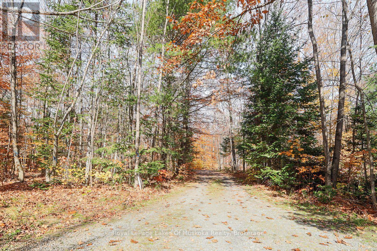 1260 WINDERS BAY ROAD - 34