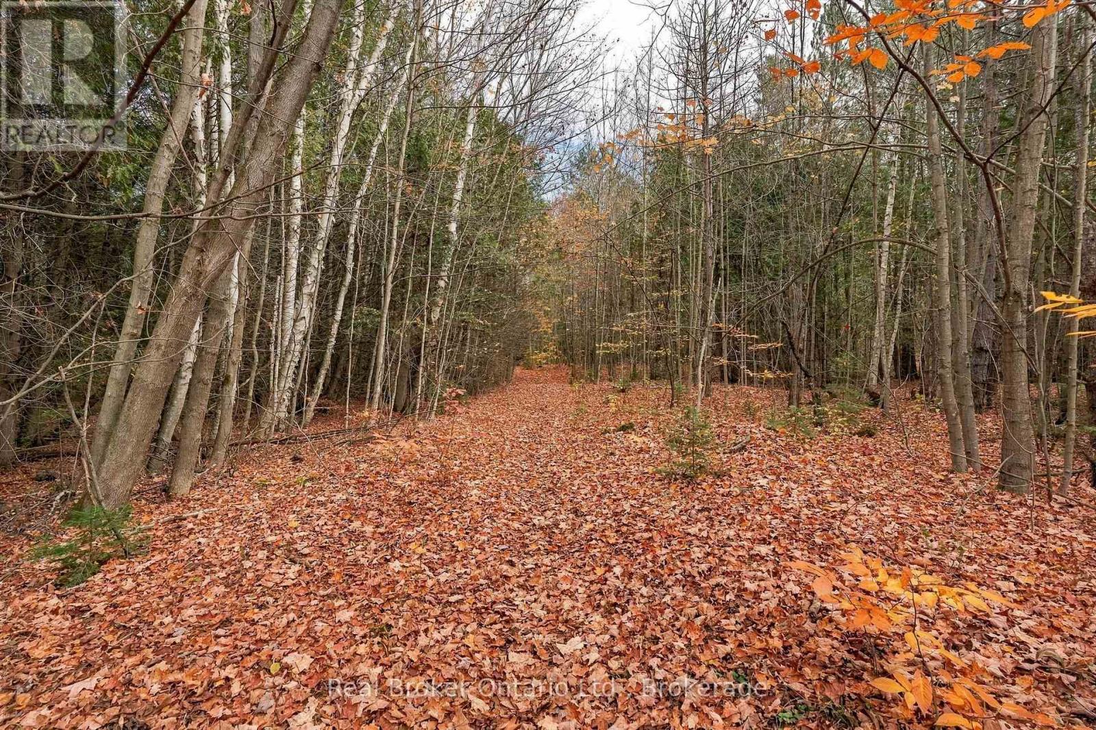 Lt 84 Penetanguishene Rd Road, Tiny photo 3