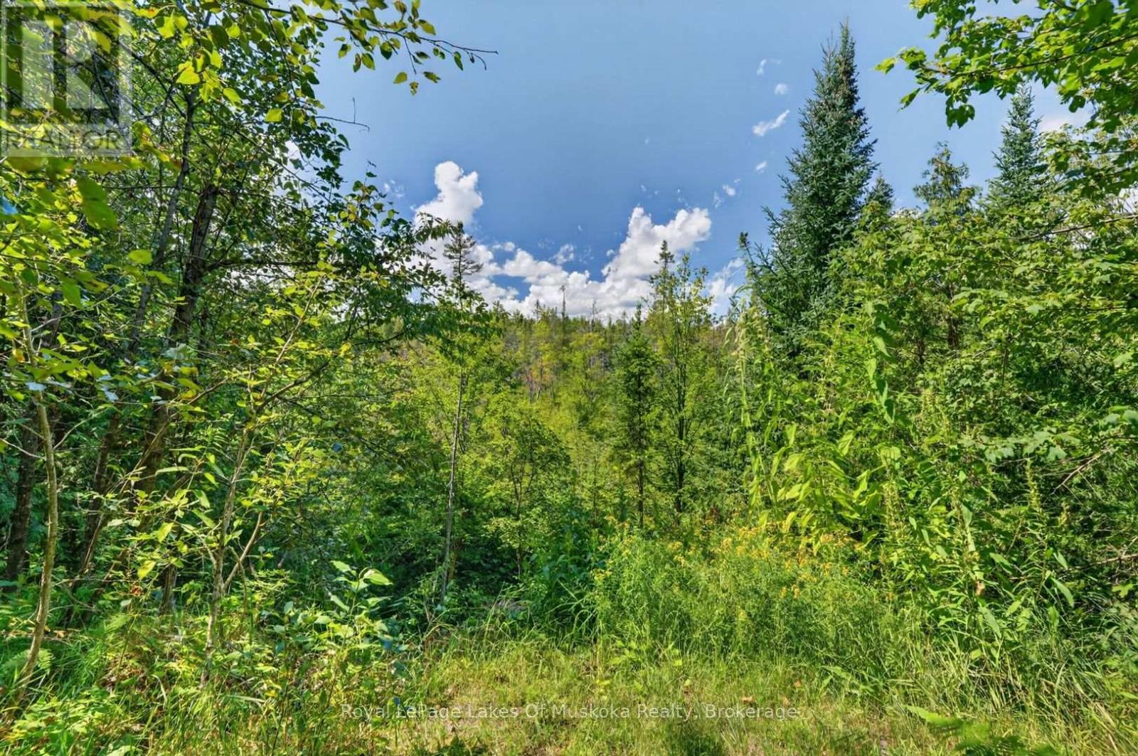 2671 HIGHWAY 118 EAST - 42