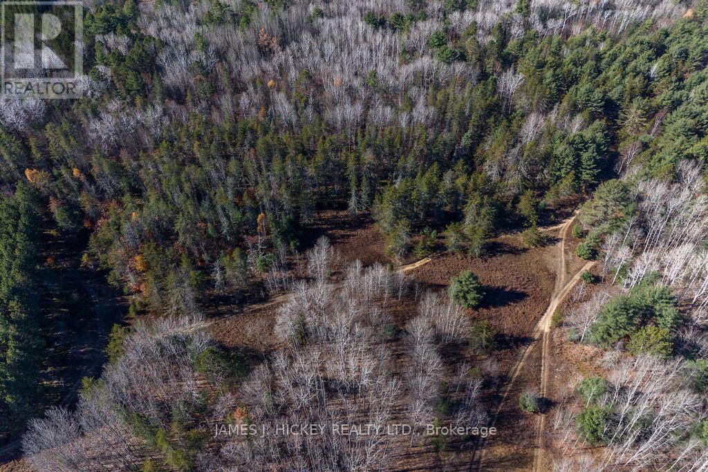 0 DUFFERIN AVENUE, Laurentian Hills — photo 11