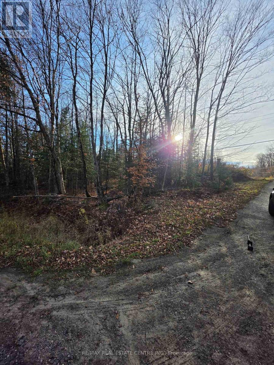 LOT 32 PLAN 361 ROAD, Kearney — photo 5
