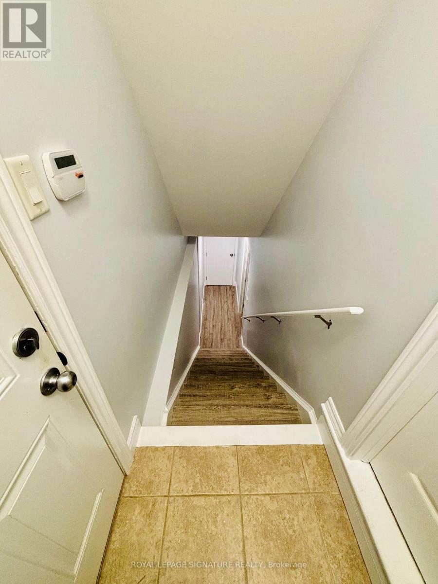 LOWER - 229 SPRINGVALLEY CRESCENT, Hamilton (Gourley) — photo 3