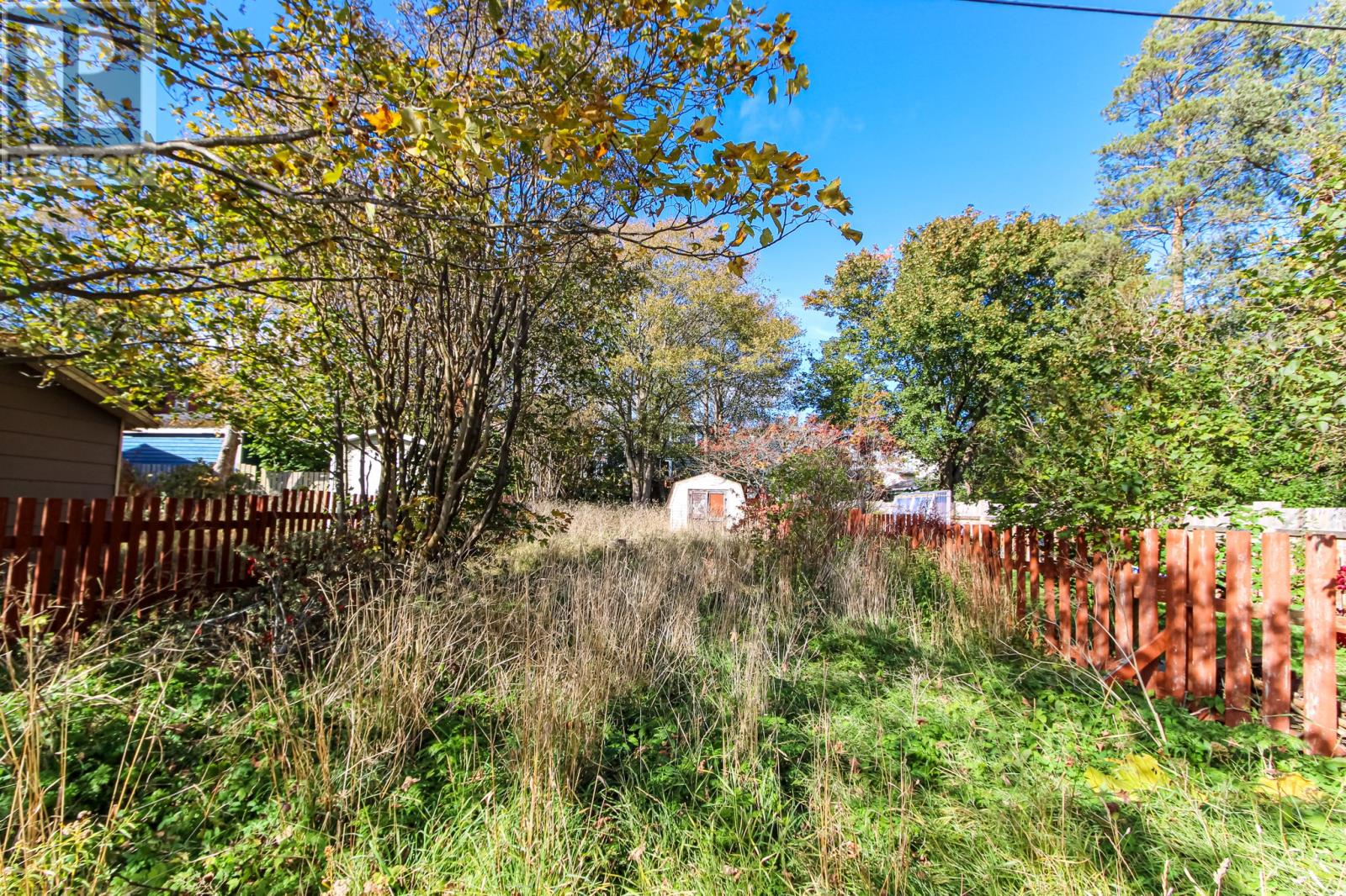 234 Hamilton Avenue - 35