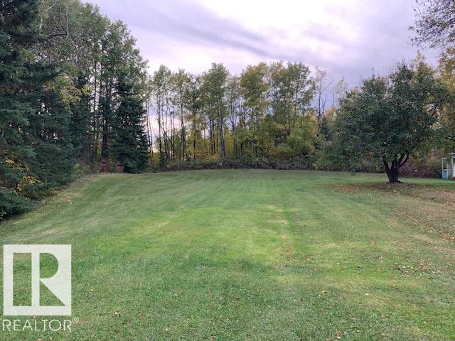 Property photograph 45 for MLS E4514802