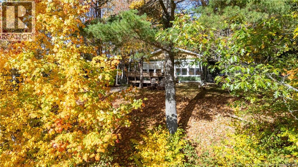 60 T J McMackin Road - 35