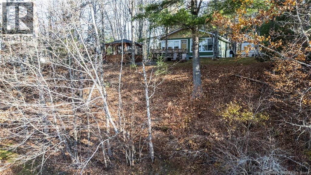 60 T J McMackin Road - 36