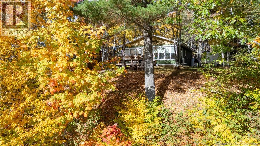 60 T J McMackin Road - 39