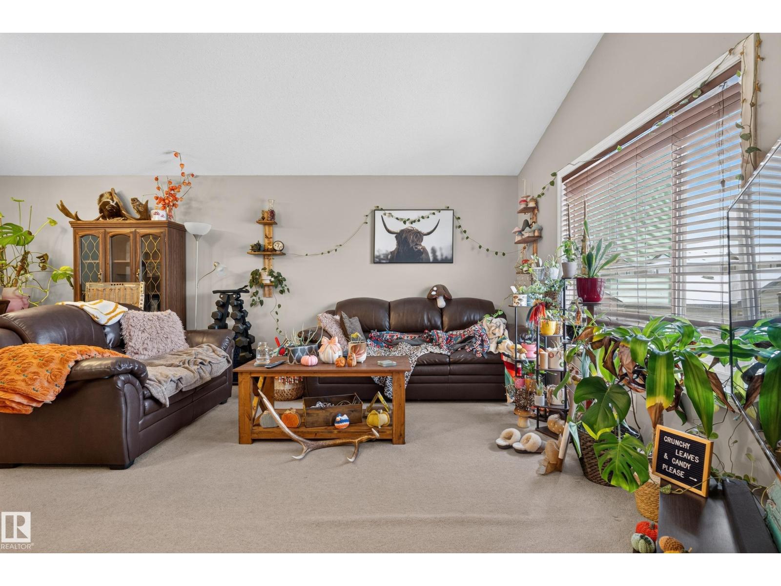 248 AVENA CI, Leduc — photo 18