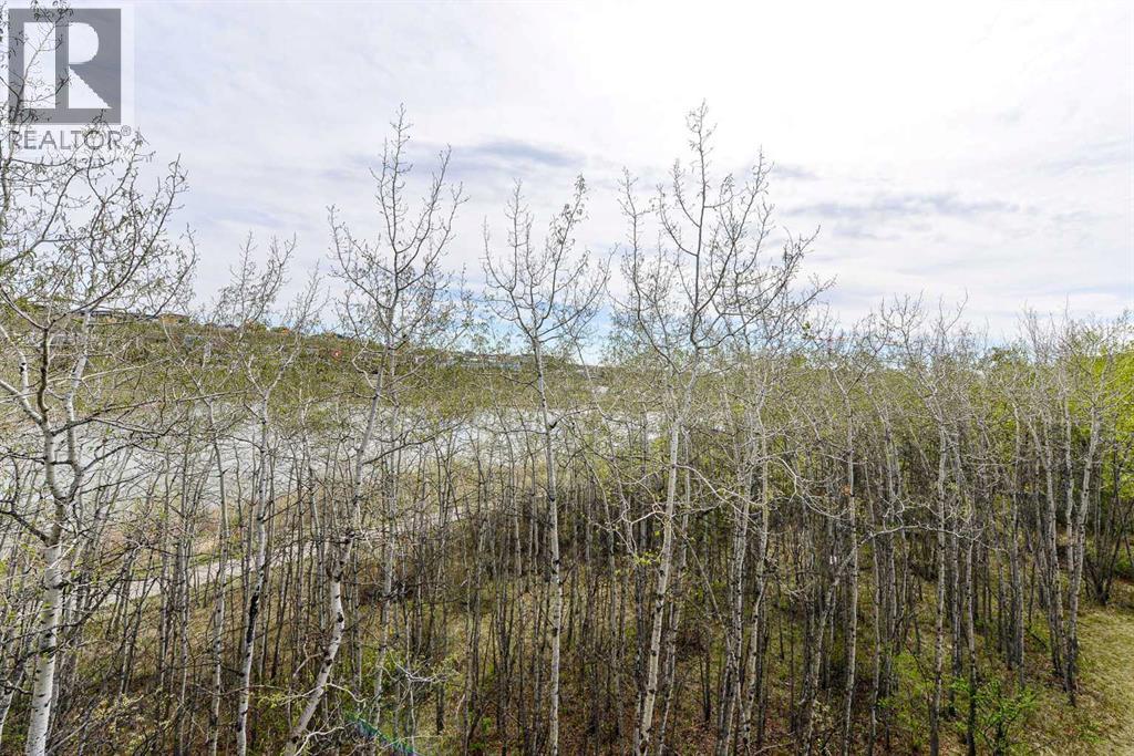 Property photograph 19 for MLS A2331024