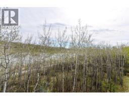 213, 45 Aspenmont Heights SW, Calgary — photo 19