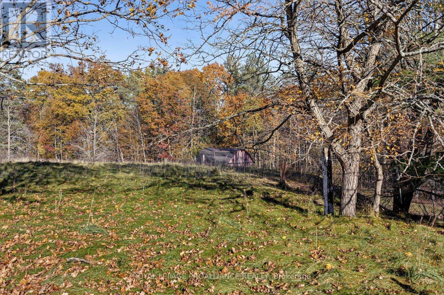 1451 COUNTY RD 2 ROAD, Elizabethtown-Kitley — photo 5