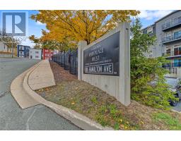 Unit 404 - 181 Hamilton Avenue thumbnail 5