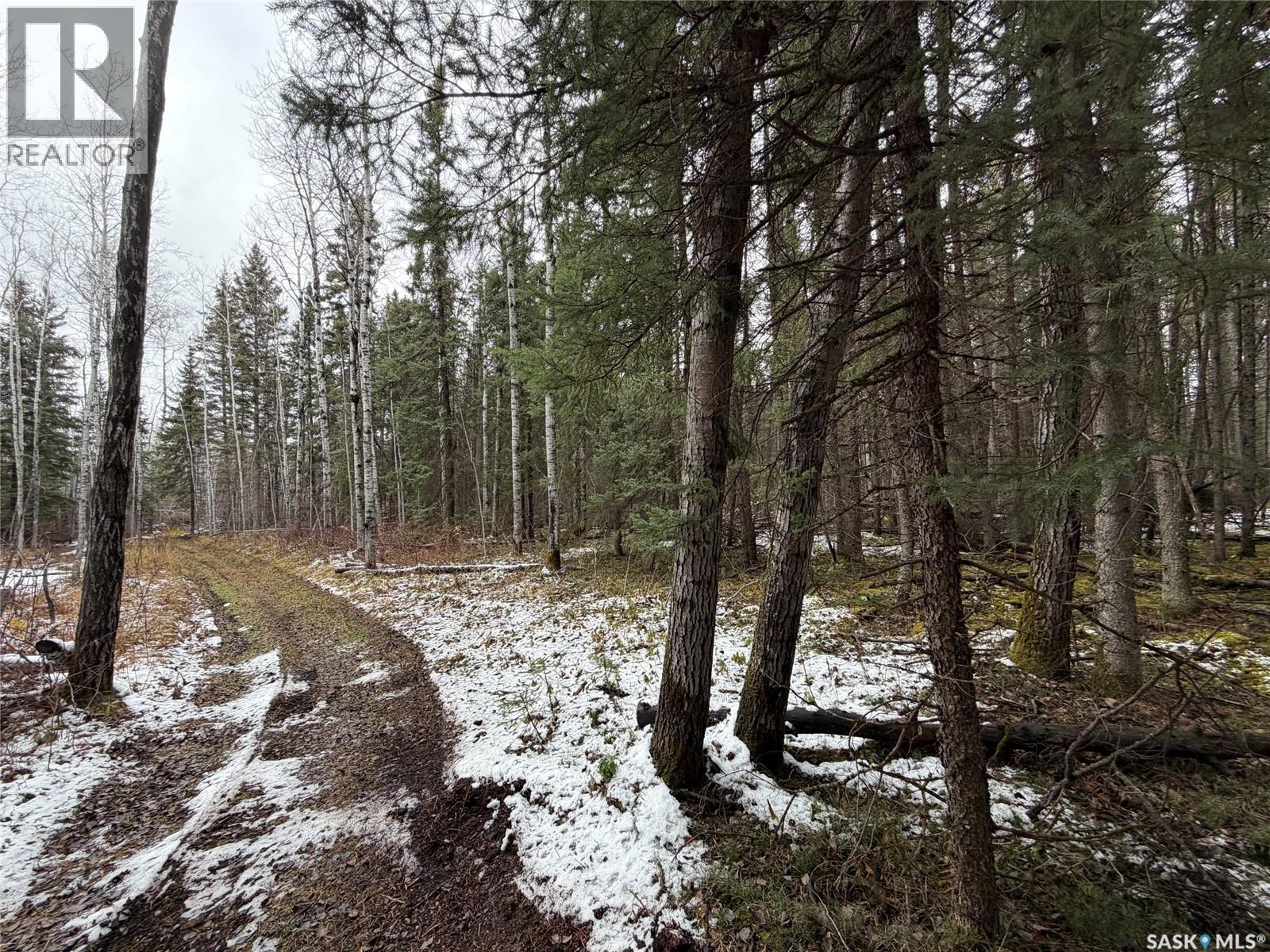 5.22 acre Lot South Hudson Bay, Hudson Bay Rm No. 394 Saskatchewan — photo 9
