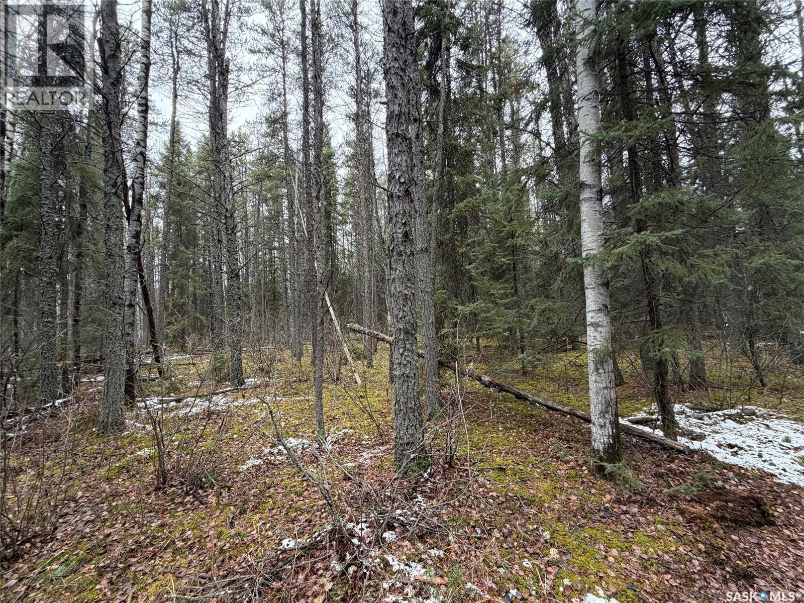 5.22 acre Lot South Hudson Bay, Hudson Bay Rm No. 394 Saskatchewan — photo 7