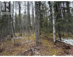 5.22 acre Lot South Hudson Bay, Hudson Bay Rm No. 394 — photo 7