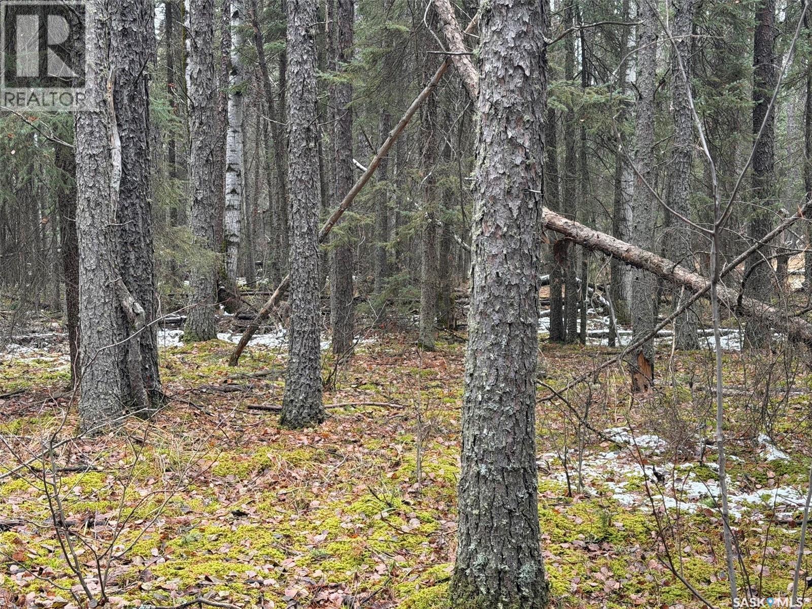 5.22 acre Lot South Hudson Bay, Hudson Bay Rm No. 394 Saskatchewan — photo 6