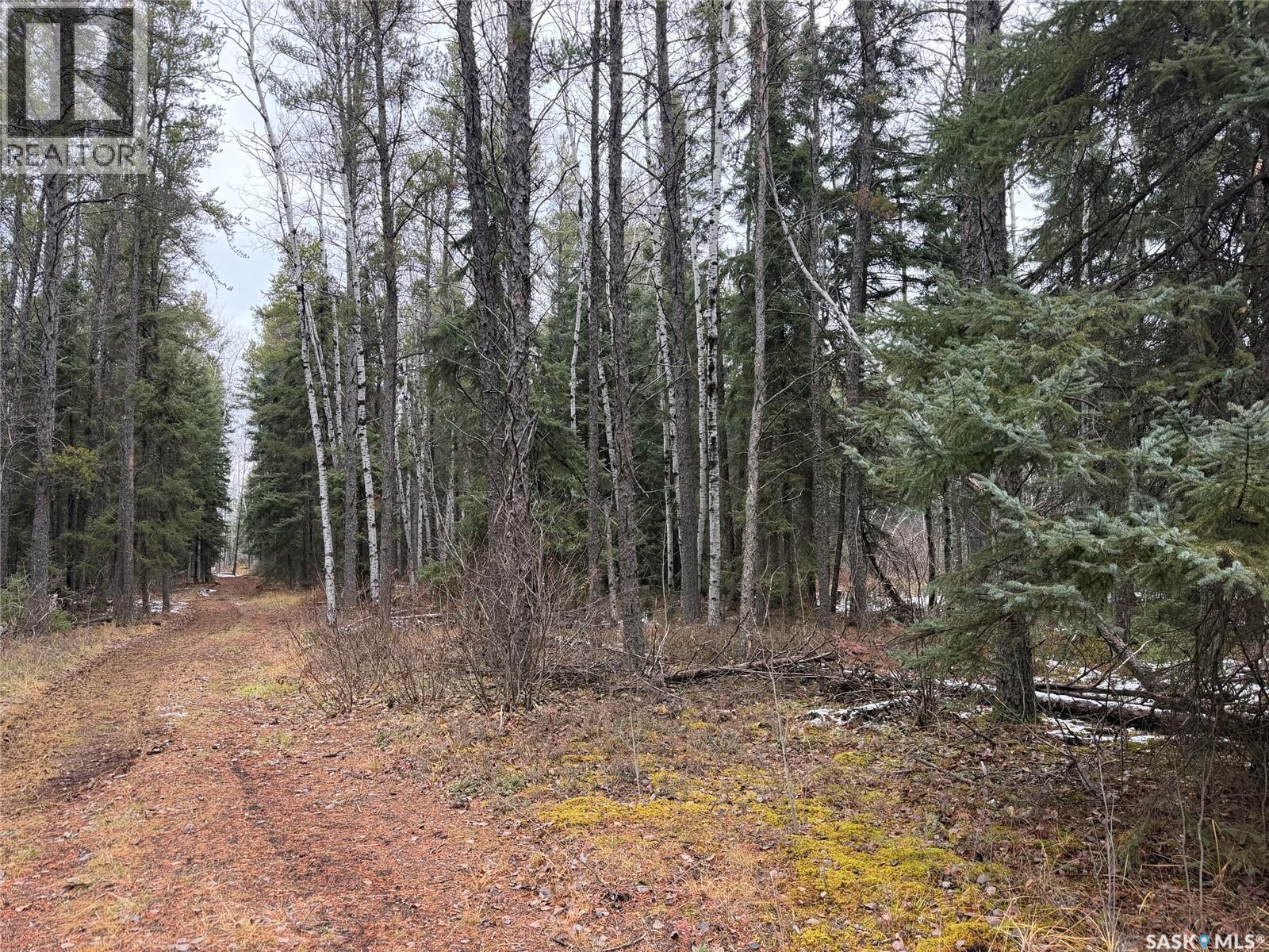 5.22 acre Lot South Hudson Bay, Hudson Bay Rm No. 394 Saskatchewan — photo 4